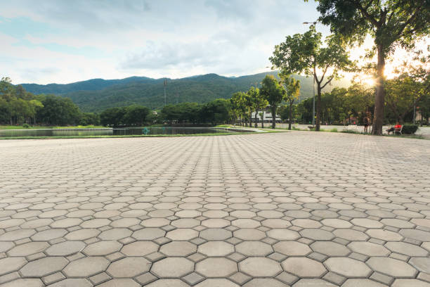 Best Residential Driveway Paver Services  in Jacksonvle, IL