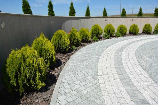 Best Commercial Driveway Pavers  in Jacksonvle, IL
